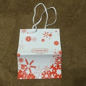 Coach Bag (Paper)